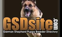 Professional German Shepherd Directory
&nbsp;
If you have German Shepherd Puppies to sell or are a German Shepherd Breeder, Trainer, Kennel &nbsp;then you should list on our German Shepherd Dog Directory site.
You can also create your own German Shepherd