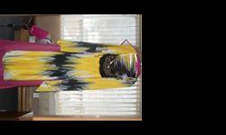 I have a prom gown with a wrap that is Steeler colors for sale, will ship asking $300.00 obo. &nbsp;Sorry photo is sideways.
