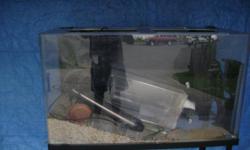 Various reptile tanks with stands and accessories. Please call Rhonda 206-854-5200