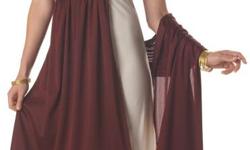 Have a great selection of Roman Halloween Costumes in various sizes and priced from $19 dollars and up. Comes with a 110 percent PRICE Garantee. Visit http://romanoutfits.com for more information .