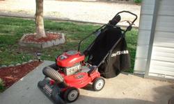 SEARS CRAFTSMENS YARD VAC /BLOWER . SELF PROPELLED 6.75 HP BRIGGS N STRATTON MOTOR THIS IS A 24 INCH WIDE YARD VAC WITH A HOSE FOR CLEANING OUT FLOWER BEDS . 3 YRS OLD BUT IN VERY GOOD CONDITION , ONLY USED VERY LITTLE. CALL TERRY CELL# 302-542-1408