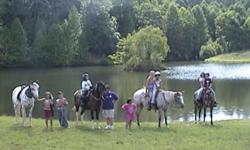 summer equine camps are offered at Serene Creek Run Riding Center. one and two week camps for beginner, advanced and intermediate riders. horse clinique from beginning to end of the day. bon fire and sleep over at end of the week with a inhouse horse show