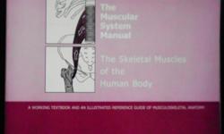 Used Muscular System Manual