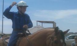 Hello!
I have over 15 years of riding experience and 5 years of teaching experience. I teach primarily therapeutic horseback riding lessons and beginners, but also have a background in teaching jumping. I am very patient, clear with my instruction and