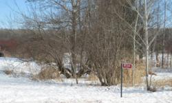 Consider this "ready to build" 10 acre parcel just minutes south of Medford. Drilled well is in place, electricity and phone available at road.
Call Kelly Phillips, Realtor, at RE/MAX New Horizons Realty, LLC for details (715-965-1394).