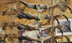 Traditional Recurve Bows available at Archery Outfitters.
Back quivers, finger tabs, gloves, arm guards, tip savers, stick on bow rest, feathered fletched arrows and other traditional accessories.
With each new traditional recurve purchased, you will