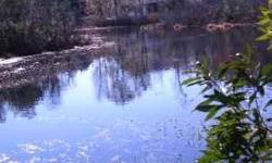 One of the largest wetlands properties in Hanahan Plantation at .56 acres. This house is 1912 square feet. Professionally maintained community pool and boat/RV storage are in the neighborhood within a short walk. Compare lot size and neighborhood