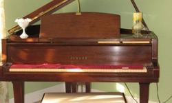One Owner Yamaha Grand Walnut Satin Finish with Padded Bench in excellent condition. Recently tuned. Great instrument for studio, home or church.