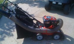 A Craftsman Yard Vac in good working conditions. you can email or call