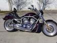 2005 Harley Davidson V Rod (VRSC) . Muscle Cruiser