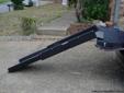 Portable Pet Ramp for Auto/Truck
